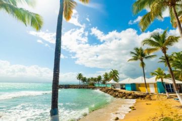 Quel souvenir ramener de Guadeloupe ?