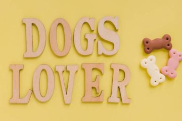Quelles friandises faut-il donner à son chiot ?