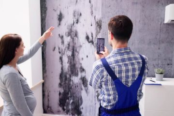 Les risques de ne pas effectuer de test de moisissures avant une transaction immobilière